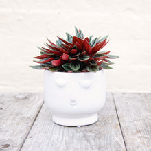 Load image into Gallery viewer, Happy Face Plant Pots