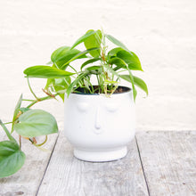 Load image into Gallery viewer, Happy Face Plant Pots