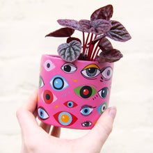 Load image into Gallery viewer, Illusion Eye Concrete Plant Pot 8cm