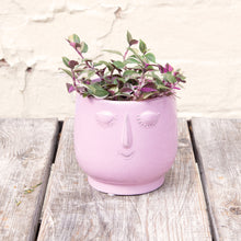Load image into Gallery viewer, Happy Face Plant Pots
