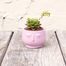 Load image into Gallery viewer, Happy Face Plant Pots