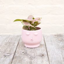 Load image into Gallery viewer, Happy Face Plant Pots