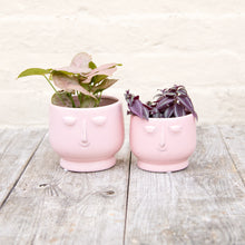 Load image into Gallery viewer, Happy Face Plant Pots