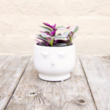 Load image into Gallery viewer, Happy Face Plant Pots