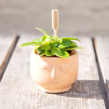 Load image into Gallery viewer, Happy Face Plant Pots