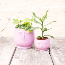Load image into Gallery viewer, Happy Face Plant Pots