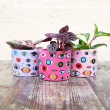 Load image into Gallery viewer, Illusion Eye Concrete Plant Pot 8cm
