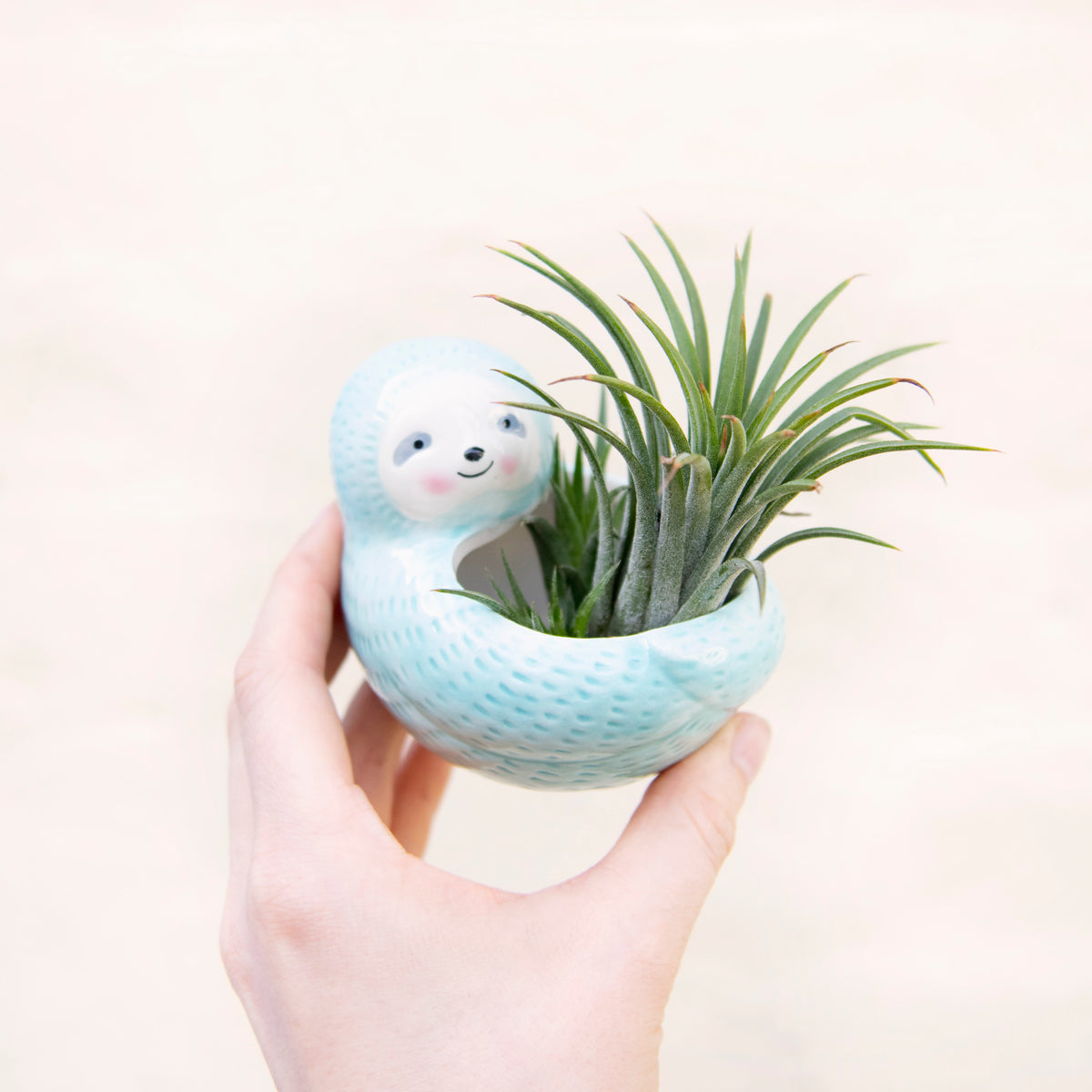sloth air plant Seymour Sloth Planter – Moose Plant Shop