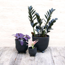 Load image into Gallery viewer, St Tropez Black Pot (3 sizes)