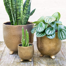 Load image into Gallery viewer, St Tropez Gold Pot (3 sizes)