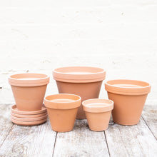 Load image into Gallery viewer, Terracotta Plant Pots, Saucers & Bowls