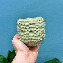 Load image into Gallery viewer, &#39;Porto&#39; Ceramic Plant Pot (Green &amp; Pink)
