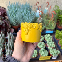 Load image into Gallery viewer, Fruity Plant Pot
