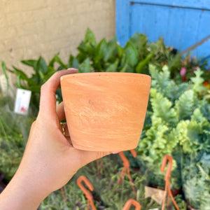 Terracotta Swirl Plant Pot