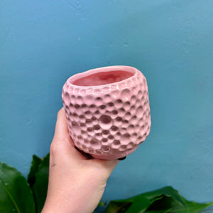 'Porto' Ceramic Plant Pot (Green & Pink)