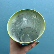 Load image into Gallery viewer, Wonky Plant Pot Bundle G
