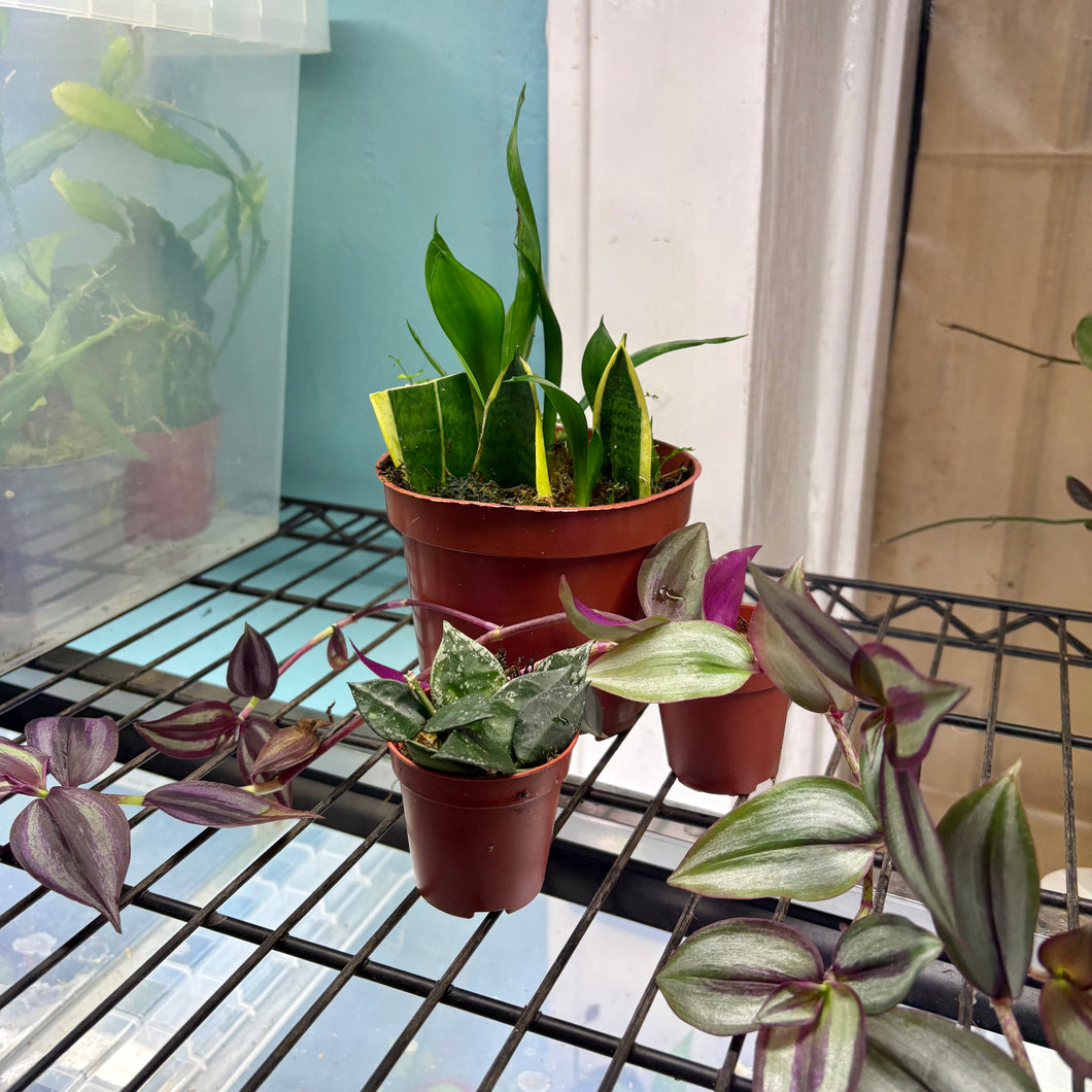 Prop Box Eviction: Bundle B