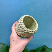Load image into Gallery viewer, &#39;Porto&#39; Ceramic Plant Pot (Green &amp; Pink)

