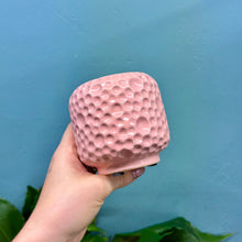 Load image into Gallery viewer, &#39;Porto&#39; Ceramic Plant Pot (Green &amp; Pink)
