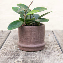 Load image into Gallery viewer, Weave Textured Plant Pots For Baby Plants (3 colours)
