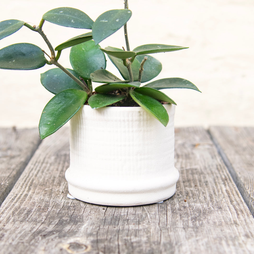 Weave Textured Plant Pots For Baby Plants (3 colours)