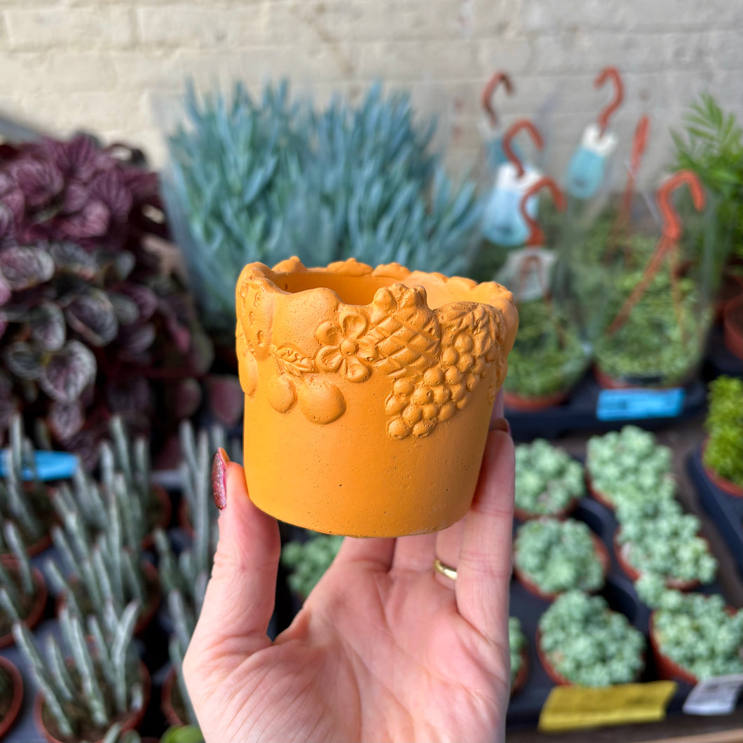 Fruity Plant Pot