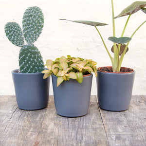 Ceramic Plant Pot (Blue & Grey)