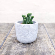 Load image into Gallery viewer, Geometric Plant Pots For Baby Plants
