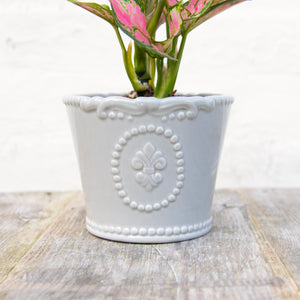 Fleur De Lis Pot