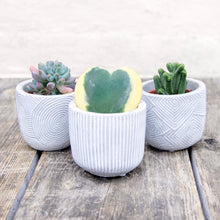 Load image into Gallery viewer, Geometric Plant Pots For Baby Plants
