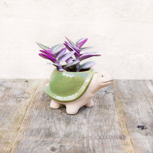 Load image into Gallery viewer, Green Tortoise Planter
