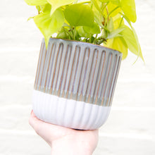 Load image into Gallery viewer, Grooved Ceramic Plant Pot

