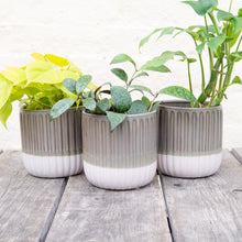 Load image into Gallery viewer, Grooved Ceramic Plant Pot
