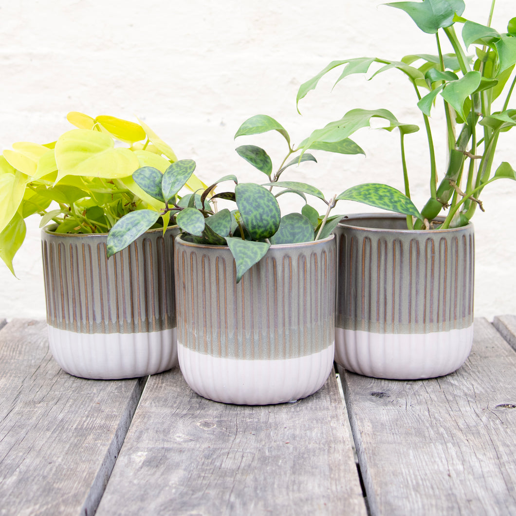 Grooved Ceramic Plant Pot