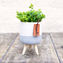 Load image into Gallery viewer, Mini Ceramic Plant Pot on Feet
