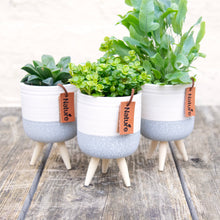Load image into Gallery viewer, Mini Ceramic Plant Pot on Feet
