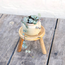 Load image into Gallery viewer, Small Wooden Plant Stool
