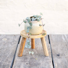 Load image into Gallery viewer, Small Wooden Plant Stool
