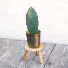Load image into Gallery viewer, Small Wooden Plant Stool
