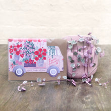 Load image into Gallery viewer, Valentine's Houseplant Bundle 💕
