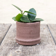 Load image into Gallery viewer, Weave Textured Plant Pots For Baby Plants (3 colours)
