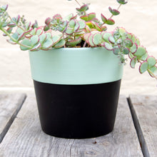 Load image into Gallery viewer, Black &amp; Blue Contrast Plant Pot

