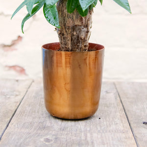 Metallic Bronze Plant Pot