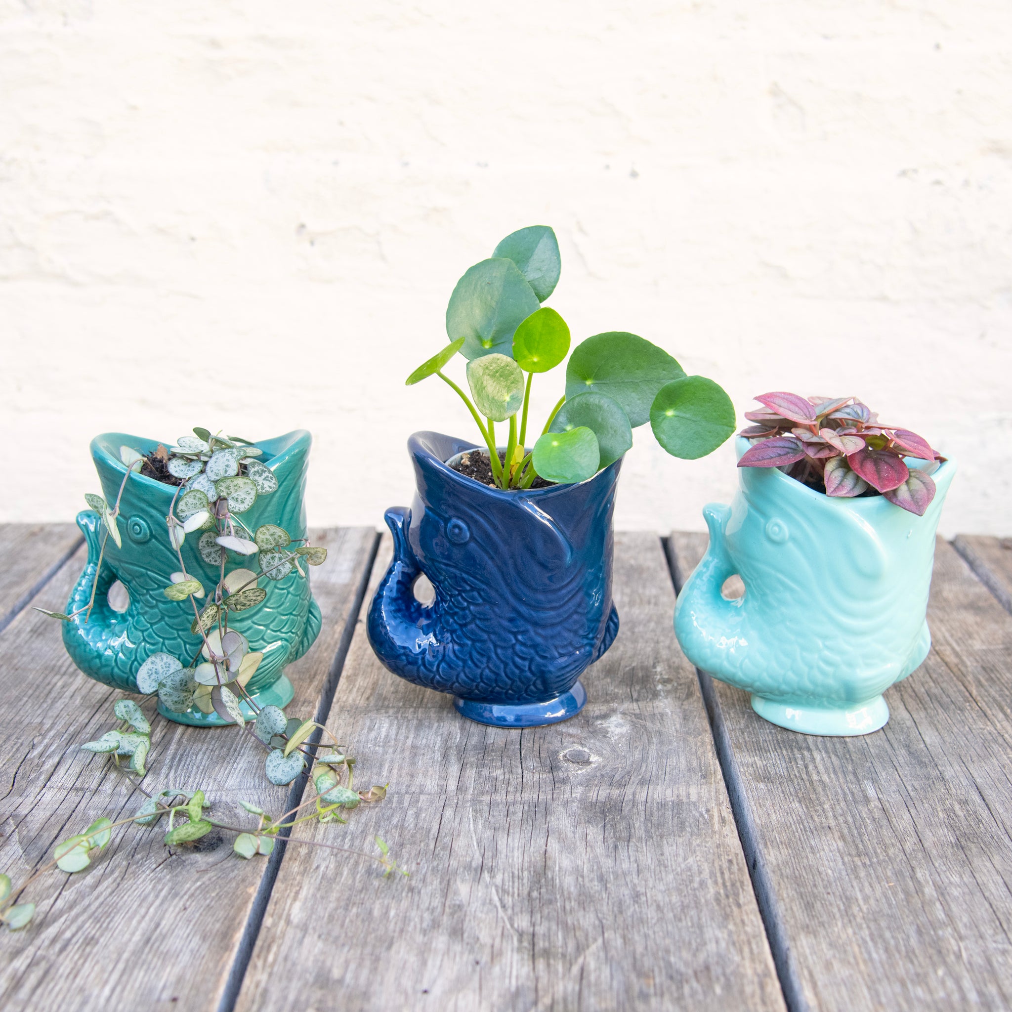 fish planter pots Fish Planter (Shades of Blue) – Moose Plant Shop