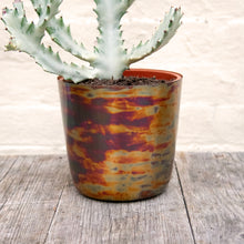 Load image into Gallery viewer, Metallic Contrast Plant Pot
