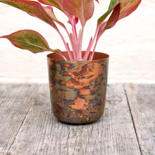 Load image into Gallery viewer, Metallic Contrast Plant Pot
