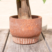 Load image into Gallery viewer, Nature Plant Pot 13.5cm
