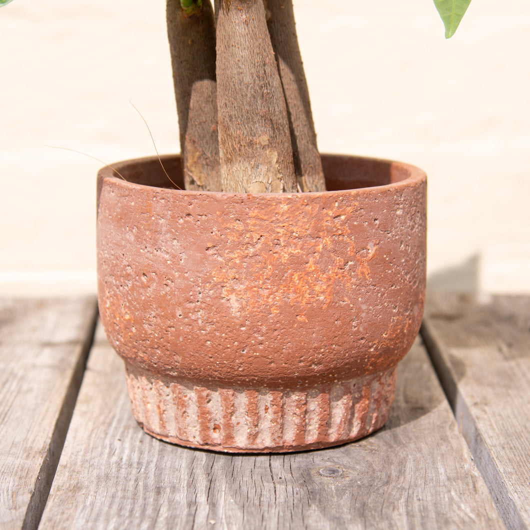 Nature Plant Pot 13.5cm