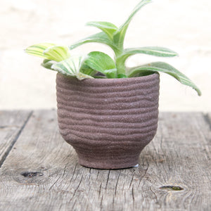 River Textured Plant Pots For Baby Plants (3 colours)