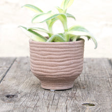 Load image into Gallery viewer, River Textured Plant Pots For Baby Plants (3 colours)

